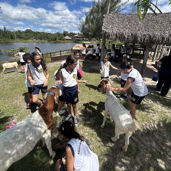 Alunos acariciando cabras na visita escolar
