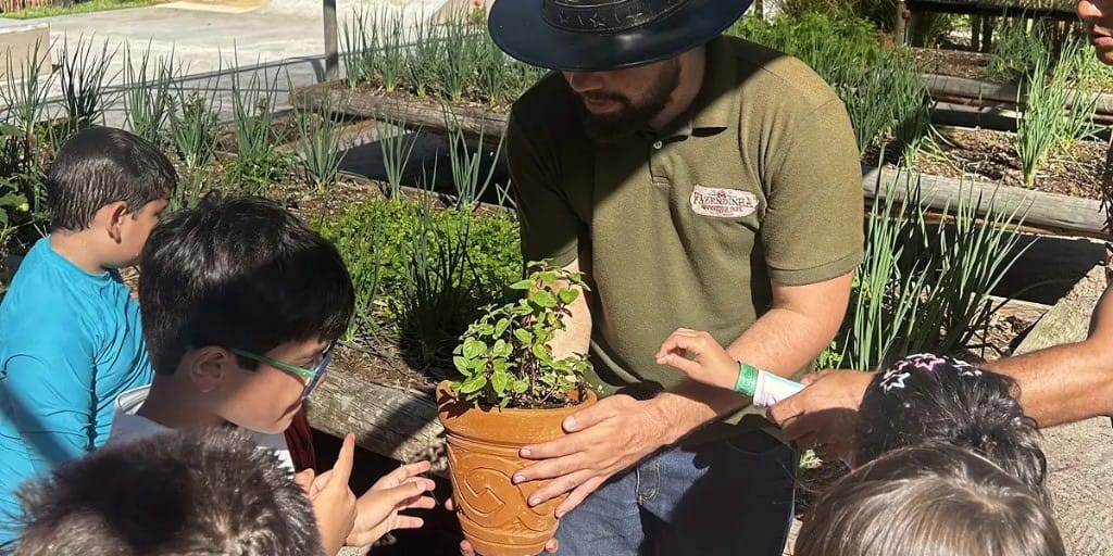 Educador mostrando muda na horta para alunos